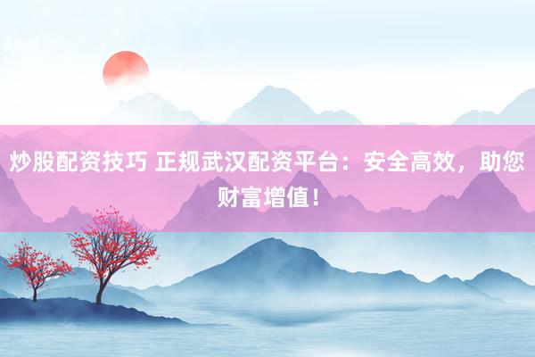 炒股配资技巧 正规武汉配资平台：安全高效，助您财富增值！