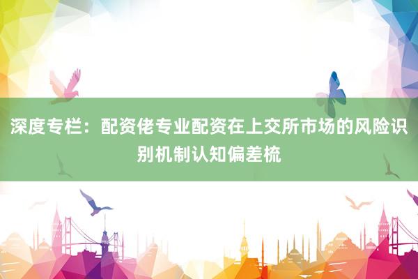 深度专栏：配资佬专业配资在上交所市场的风险识别机制认知偏差梳