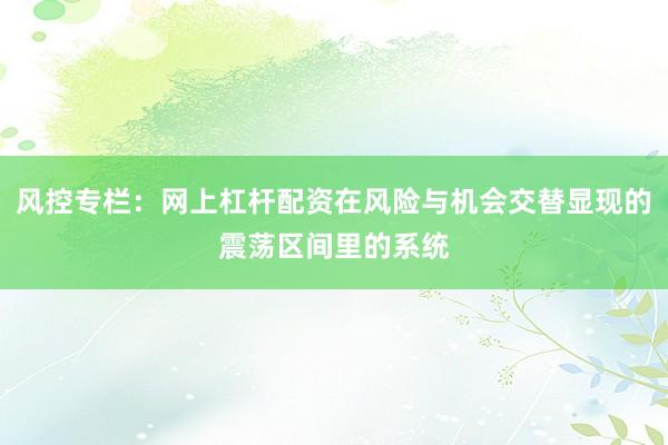 风控专栏：网上杠杆配资在风险与机会交替显现的震荡区间里的系统