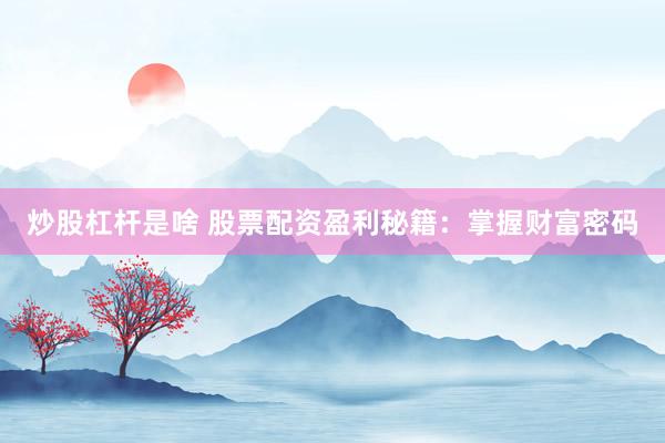 炒股杠杆是啥 股票配资盈利秘籍：掌握财富密码