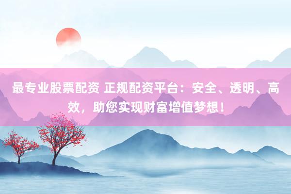 最专业股票配资 正规配资平台：安全、透明、高效，助您实现财富增值梦想！